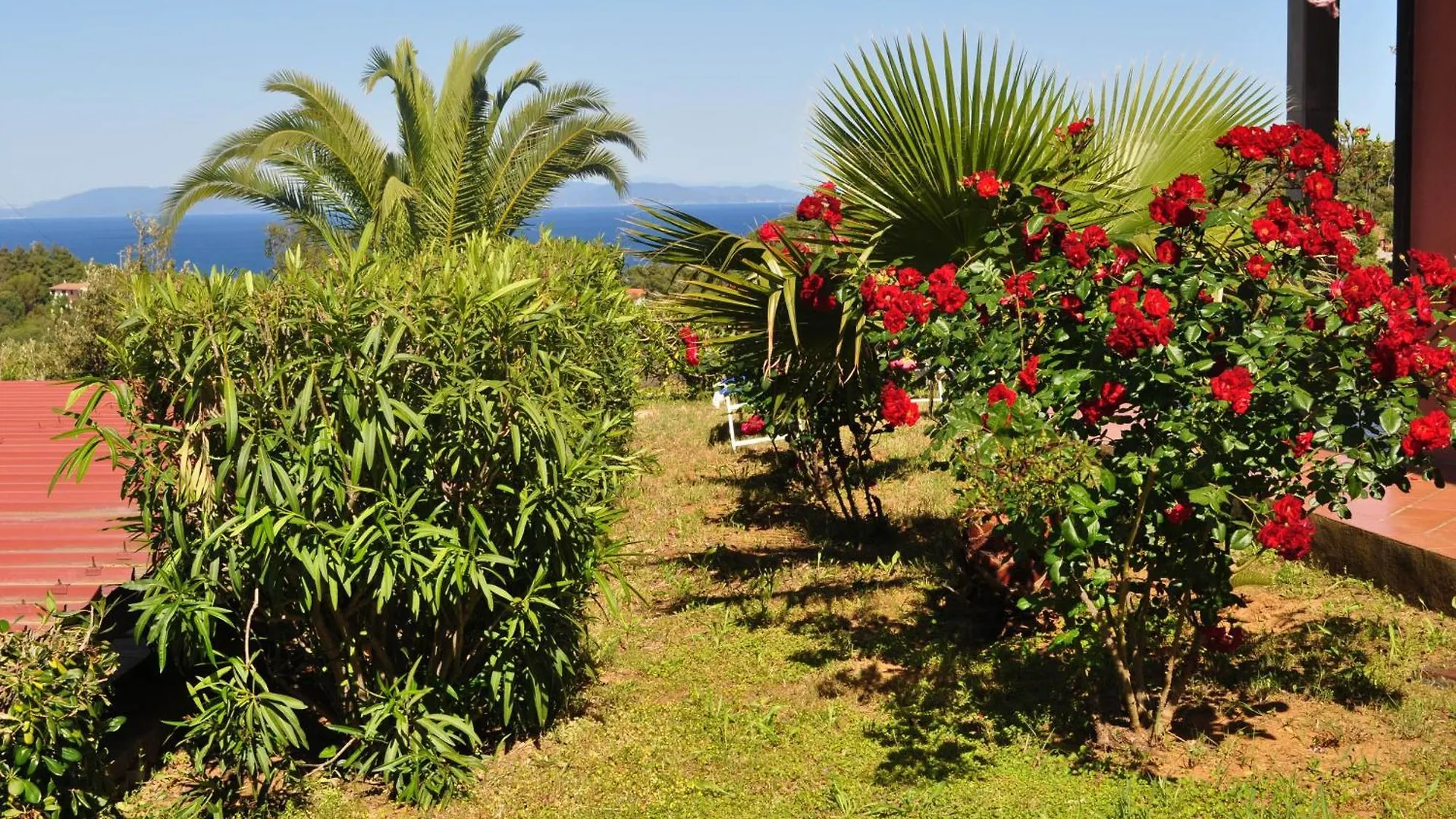 Apartment Residence Belvedere Capoliveri